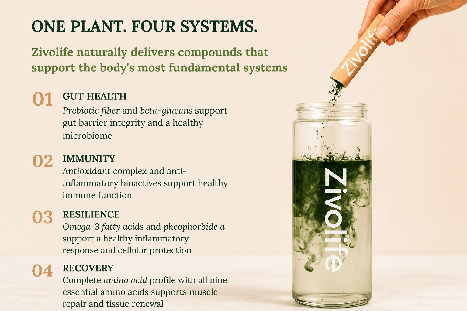 Zivolife powder being poured into water with four health benefits illustrated